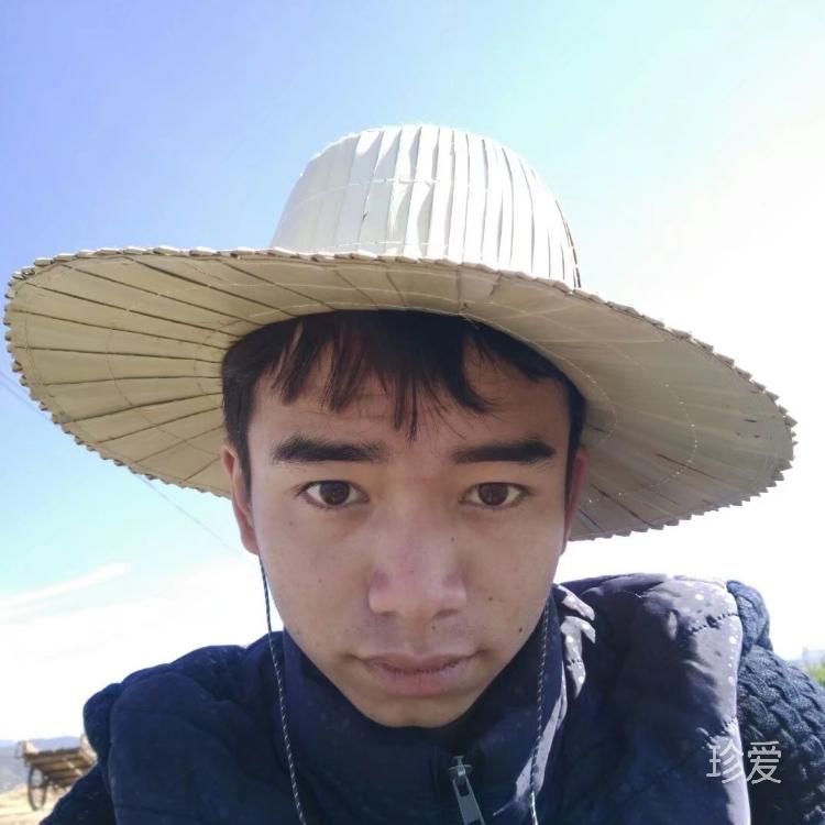 葬花