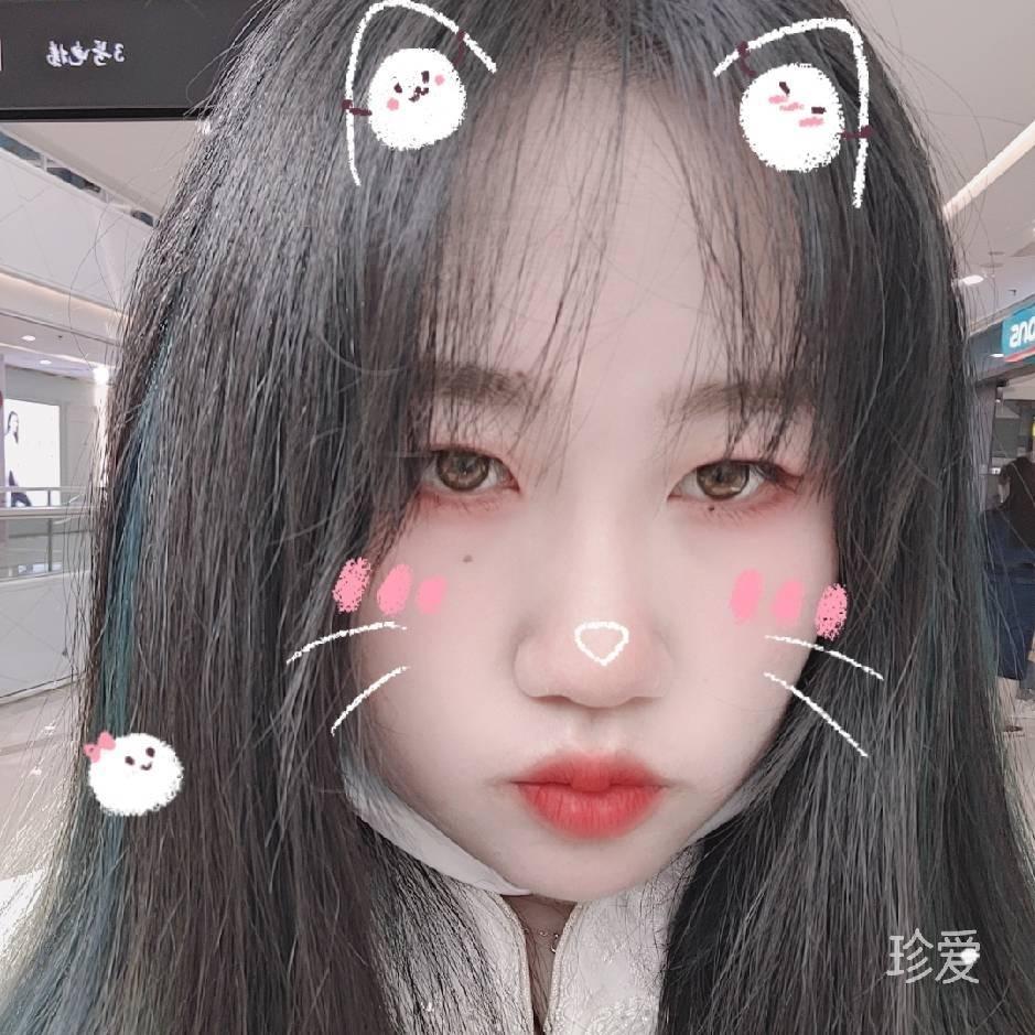 猫猫狗狗