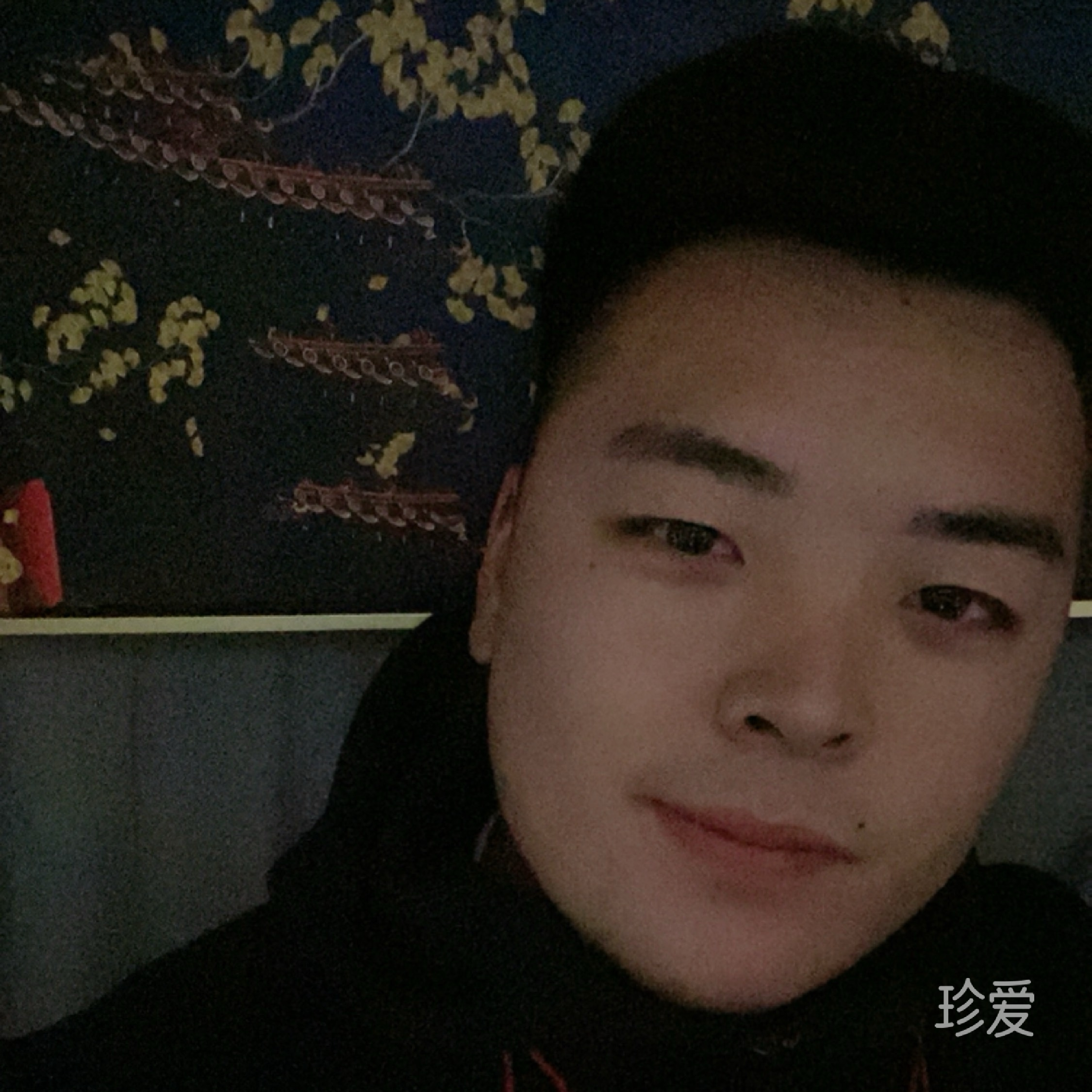 宿命偏执的悲伤