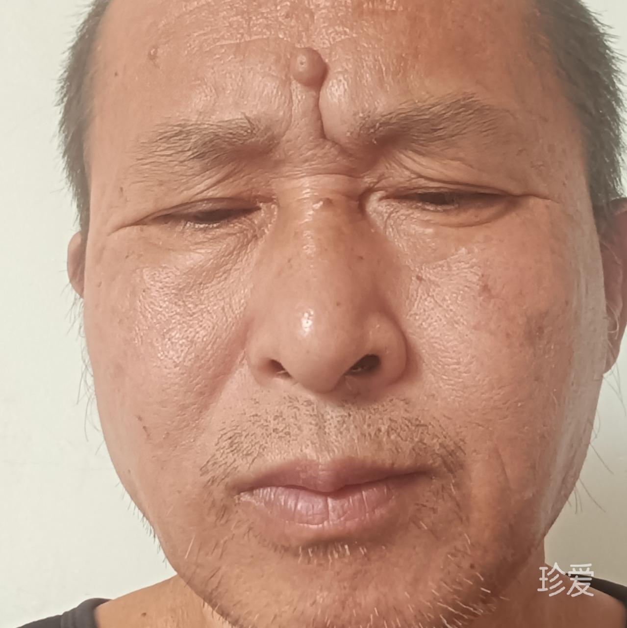 萧十一郎