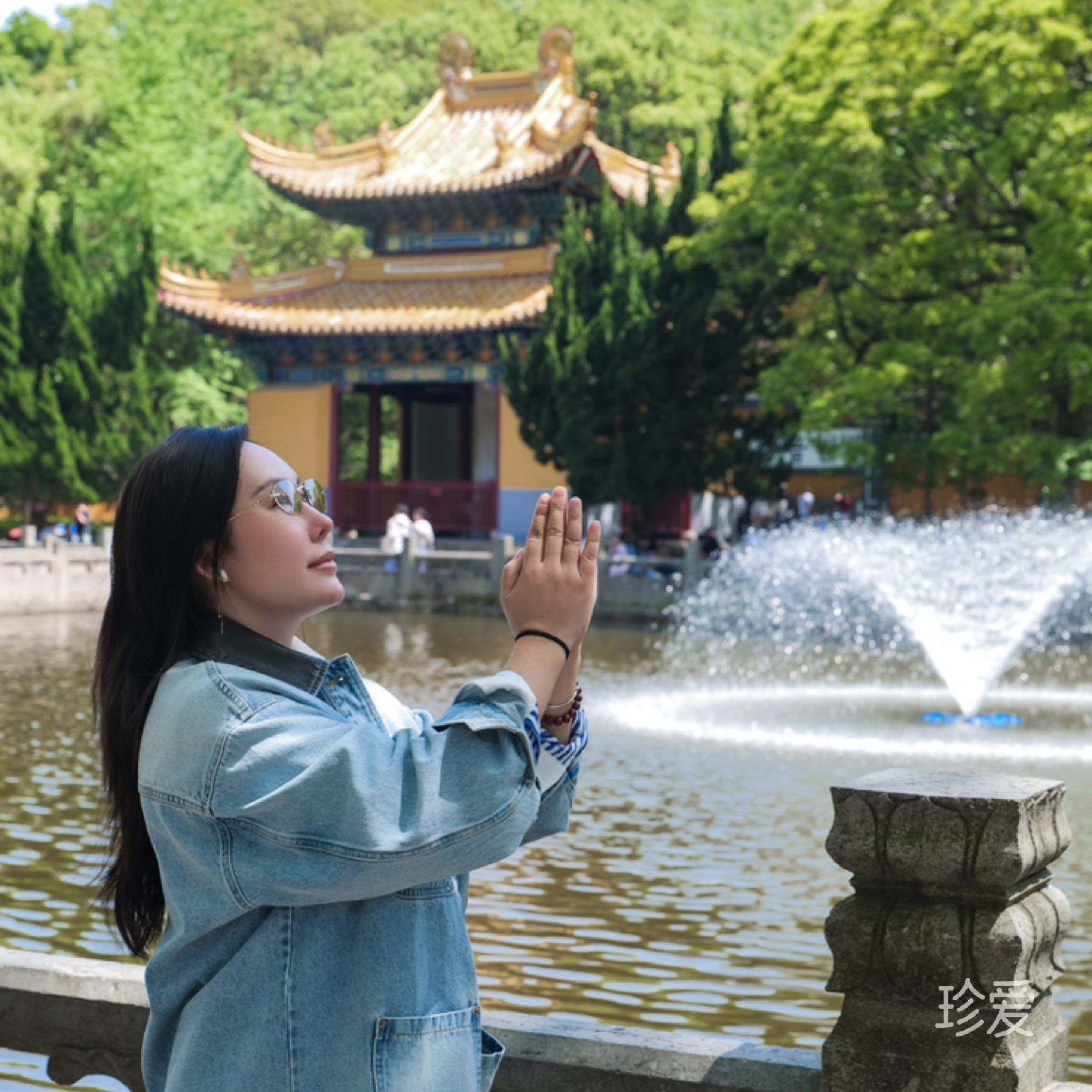 可爱的鱼