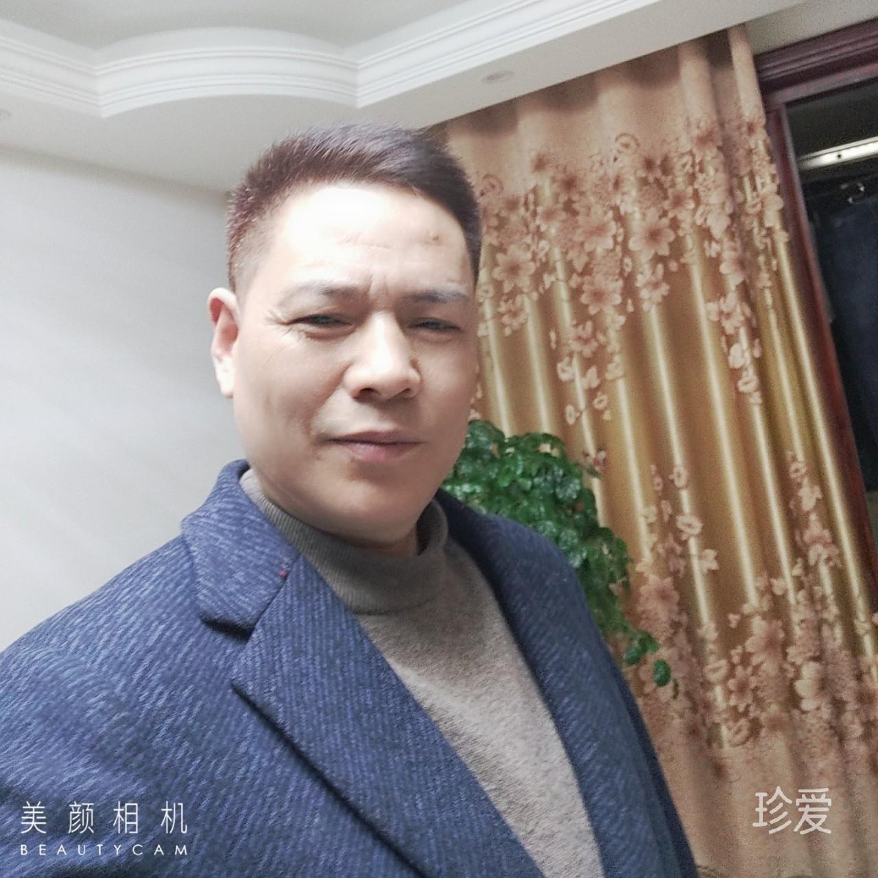 数帅气的树叶