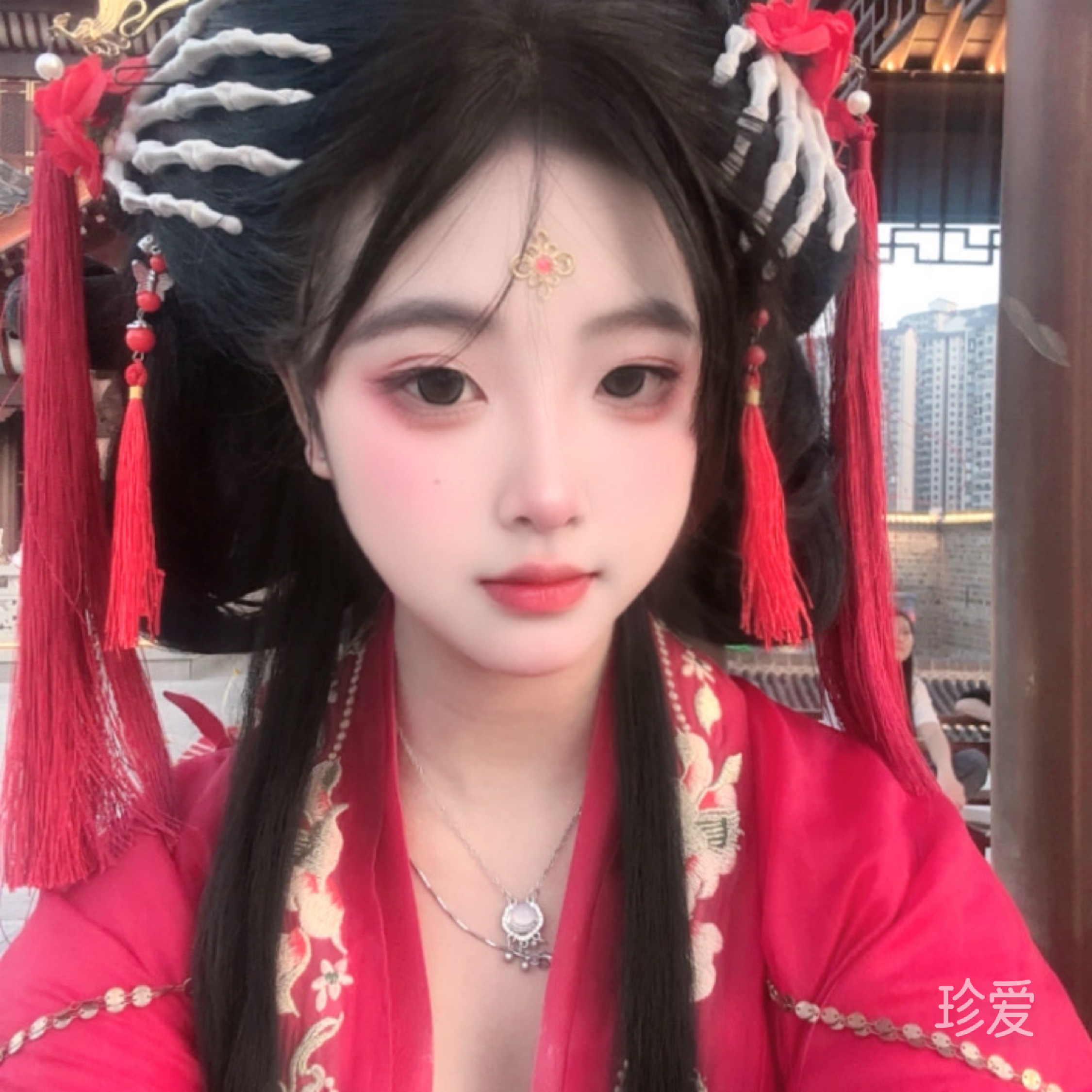 傲娇的玫瑰