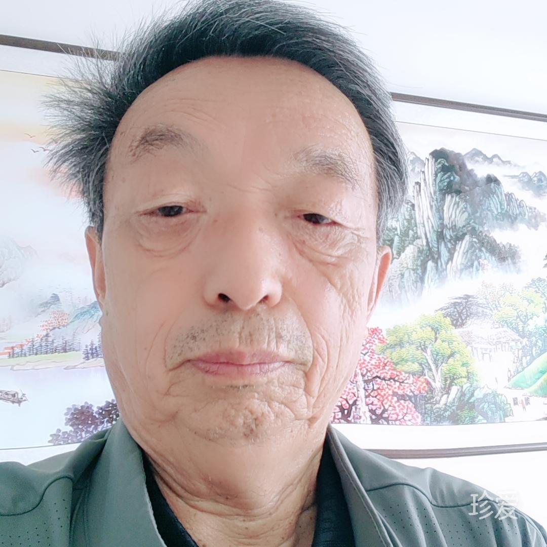 寻找爱的人