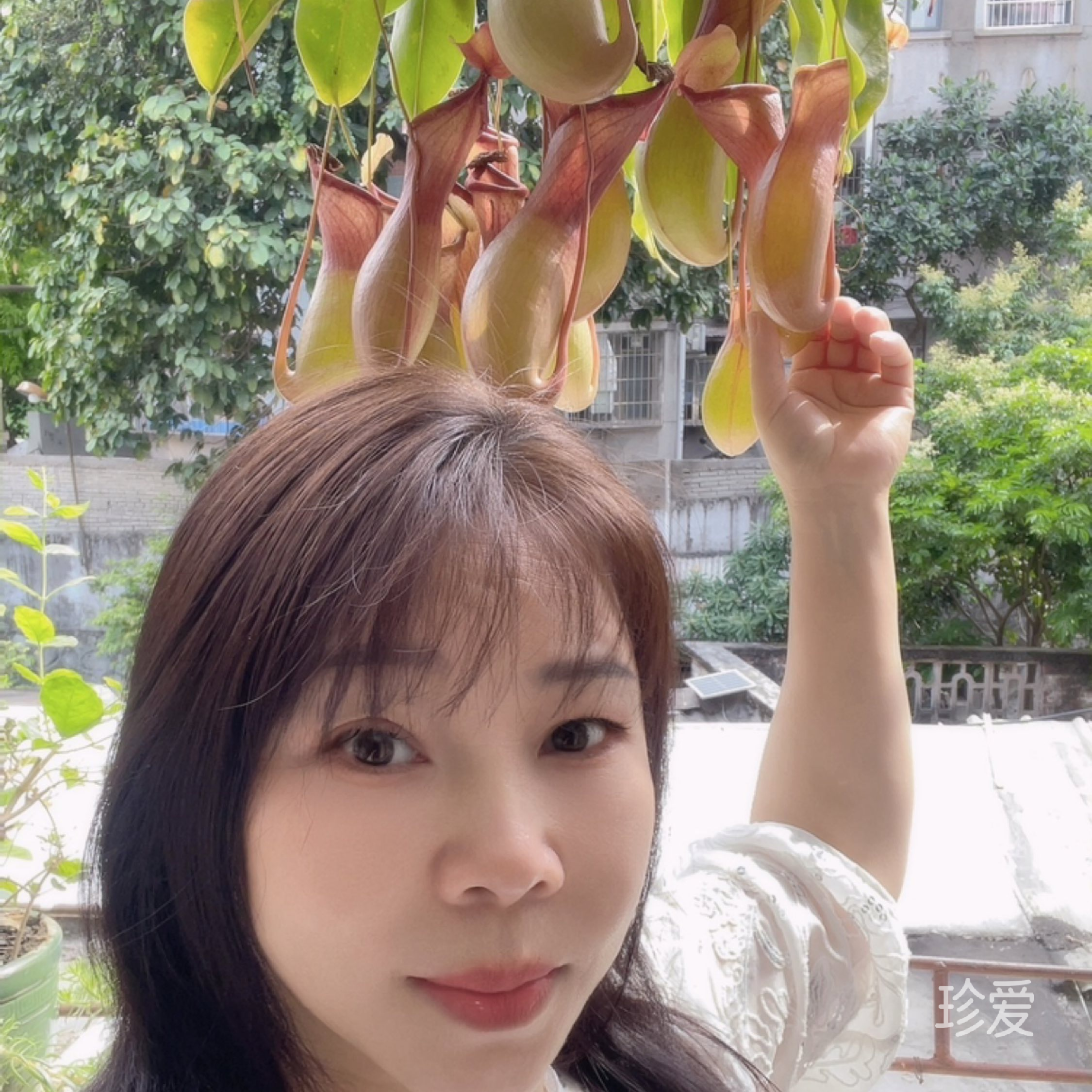 真心寻缘