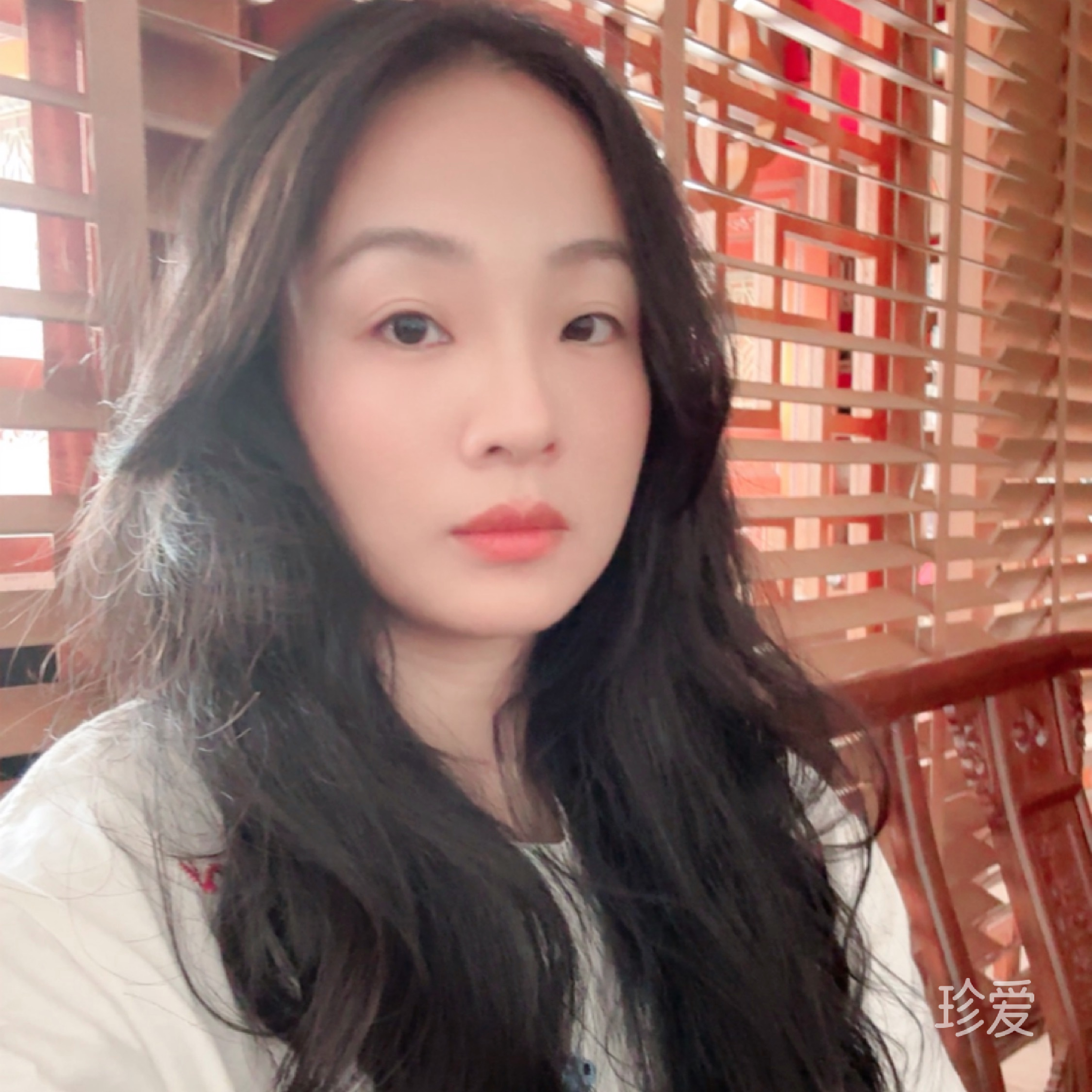 等风来