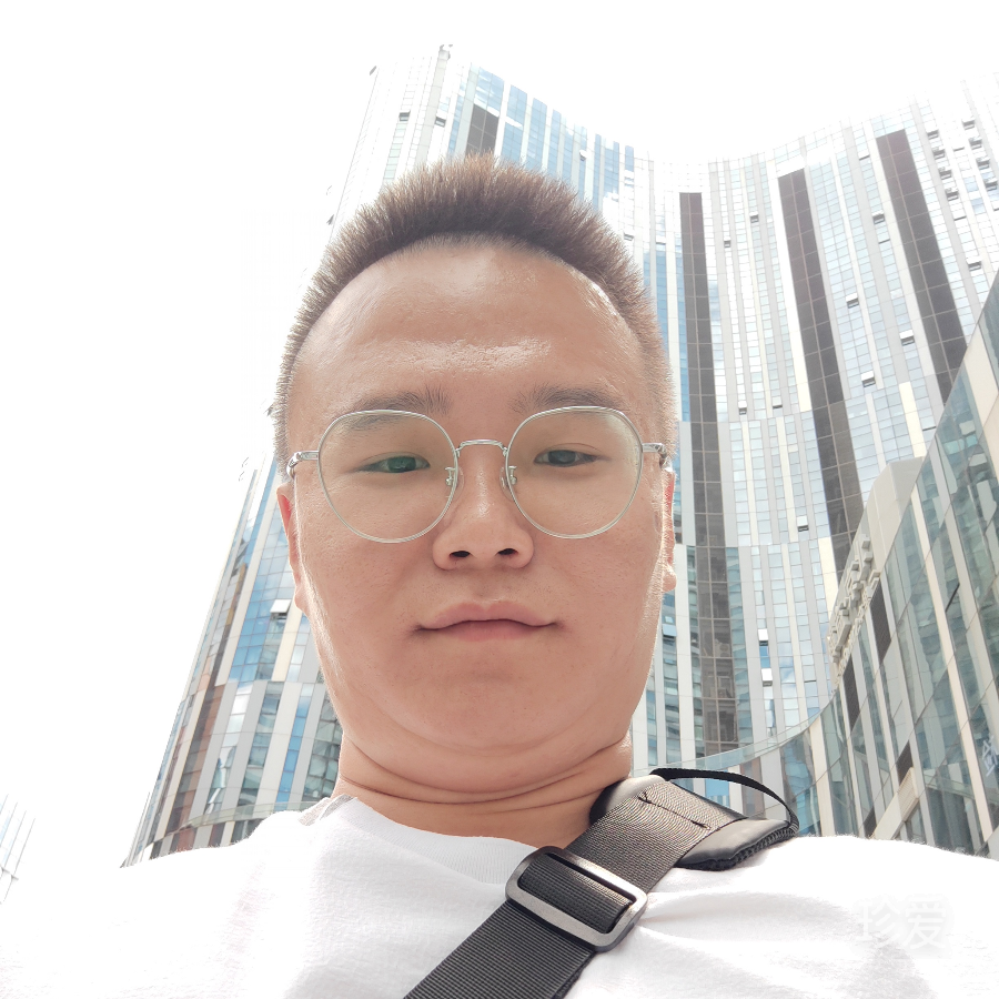 高空飞翔的雄鹰