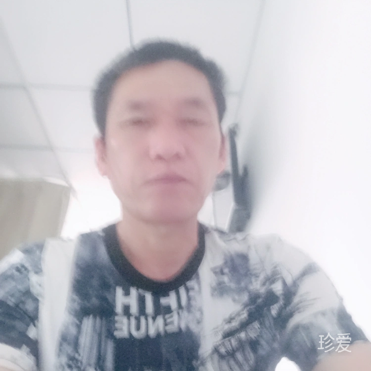 金色蜜蜂周应贤