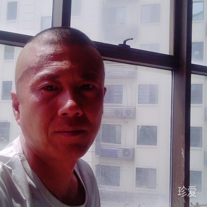 龙行天下