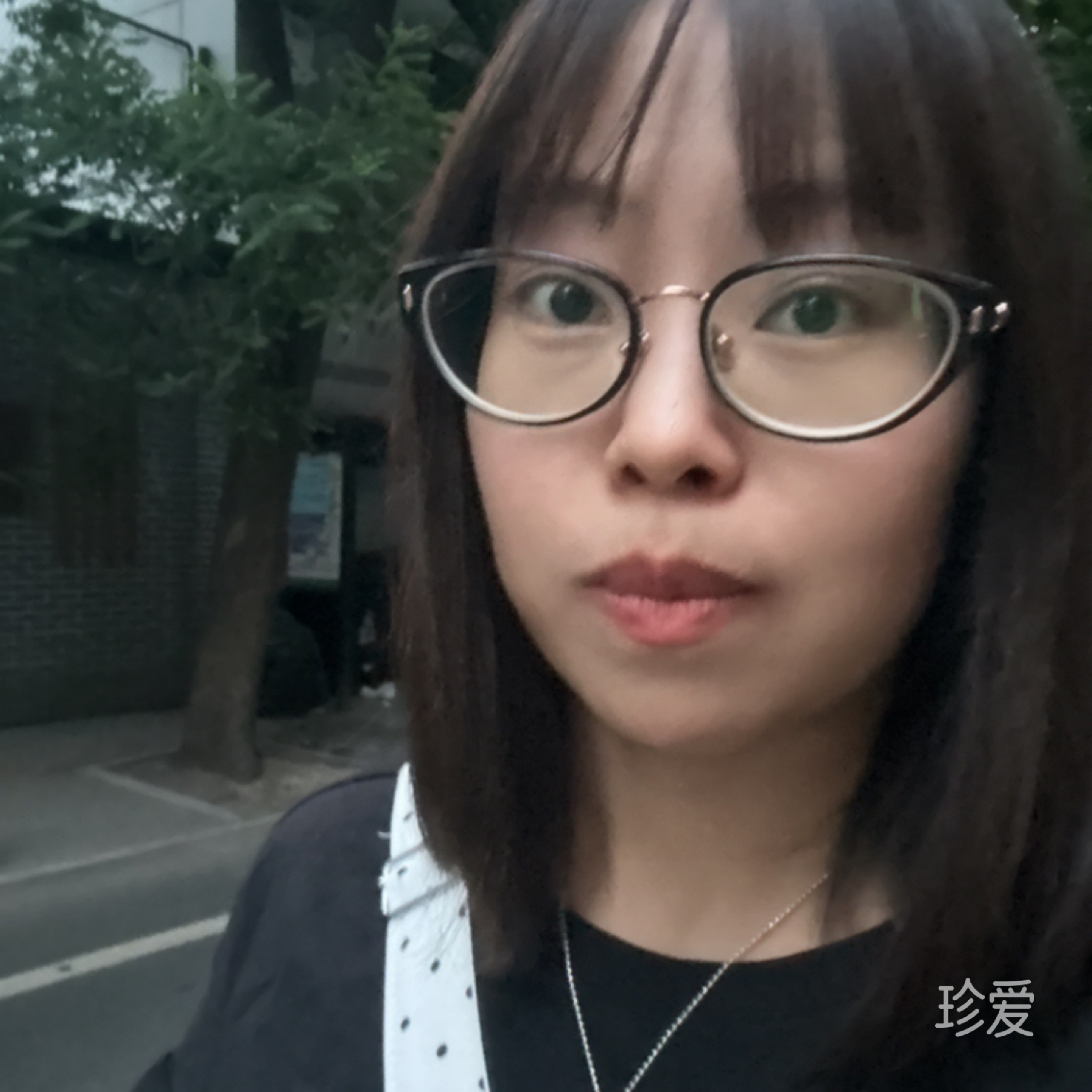 溜达米拉