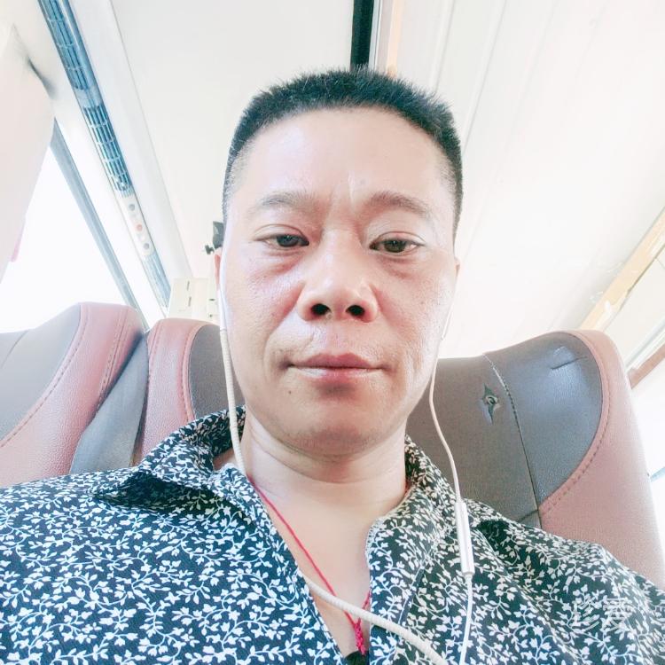 让你自由过了火