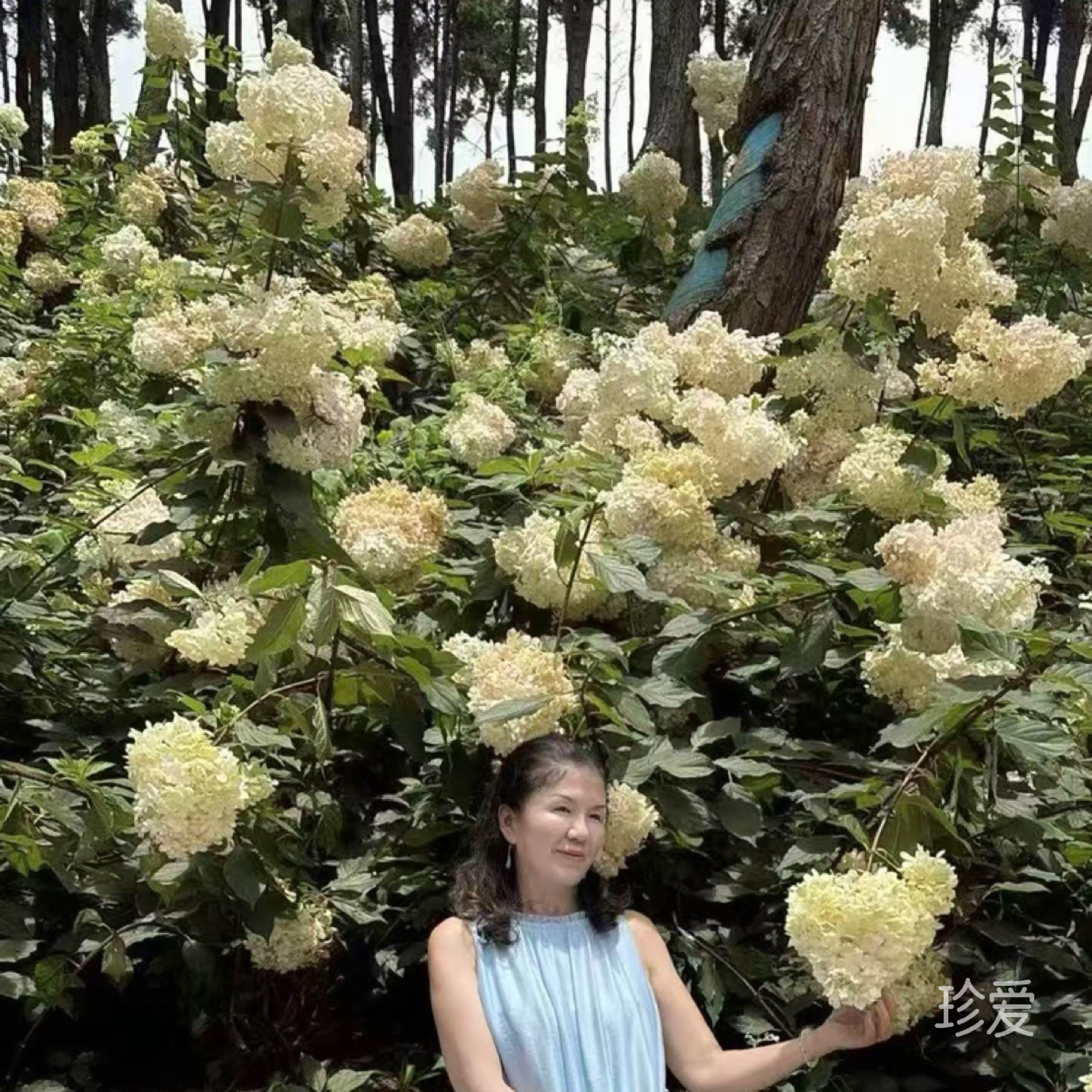 世外仙姝