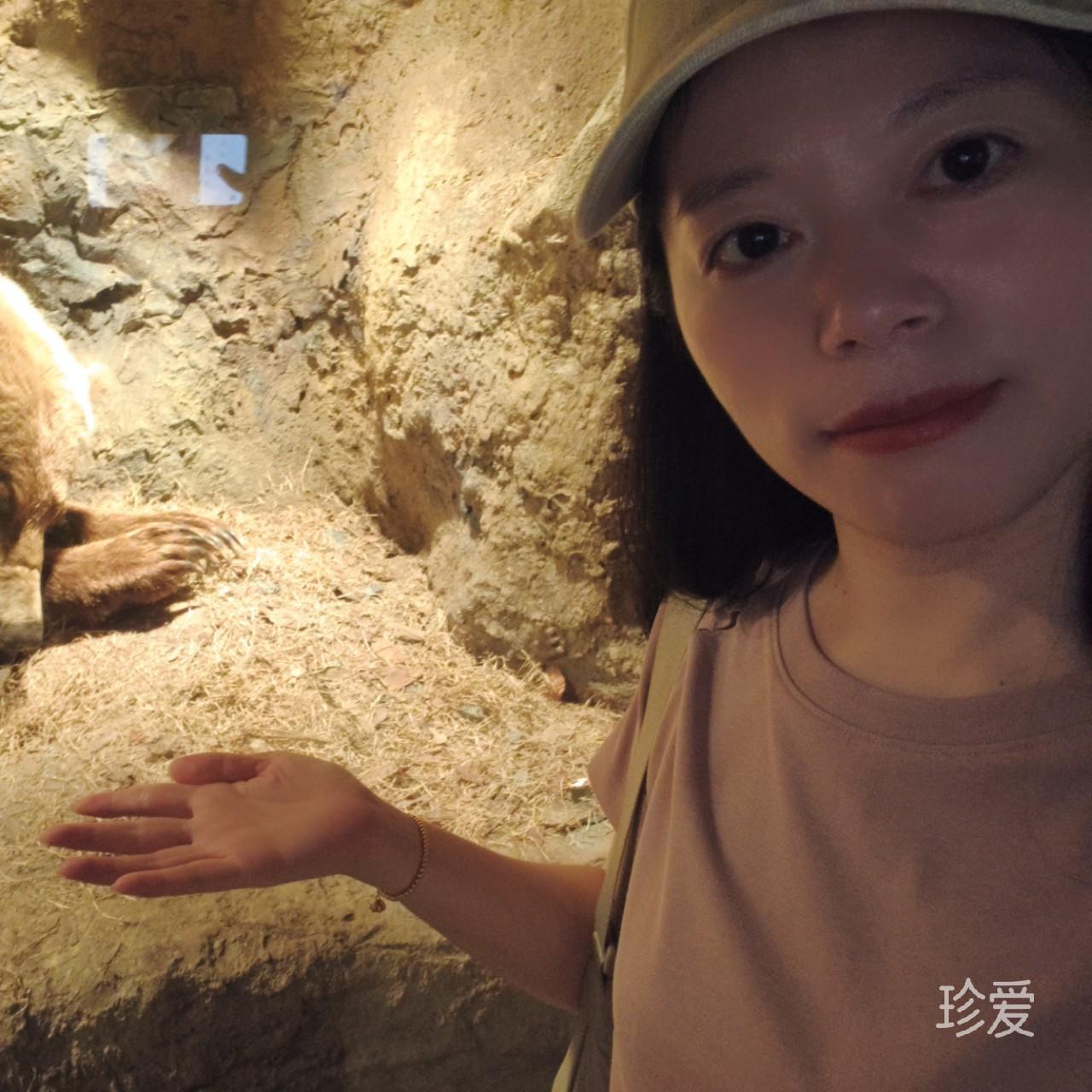 百合竹