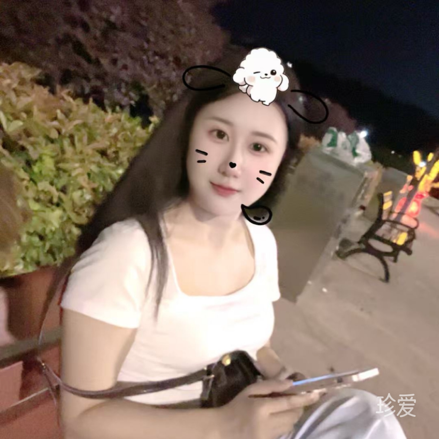 晨雾