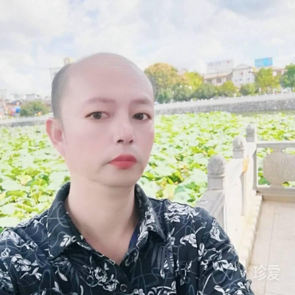 风飞沙