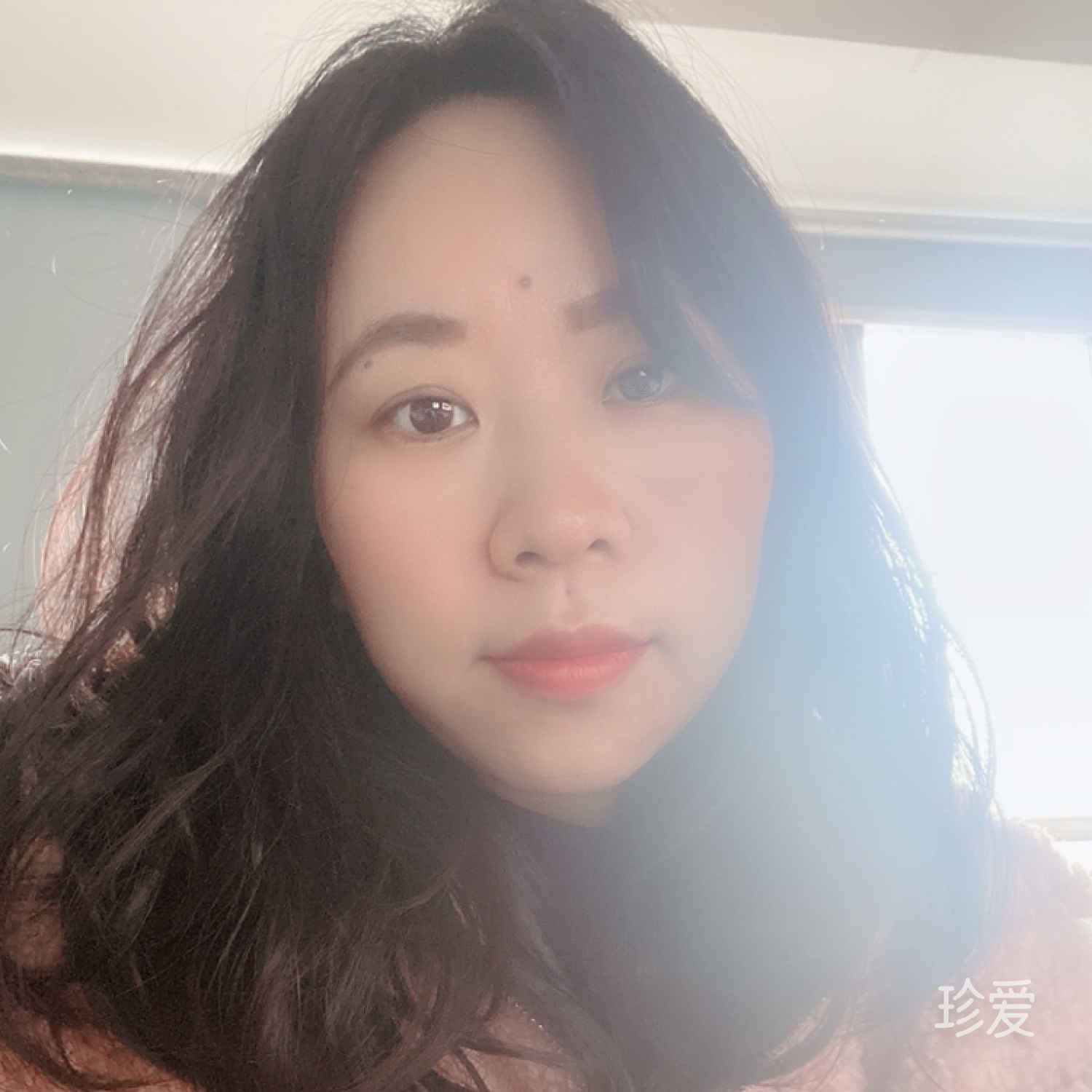 雨中玫瑰