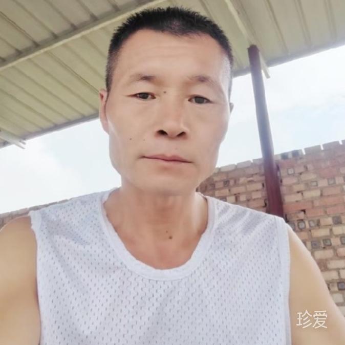 简单的鱼