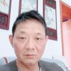 退休游