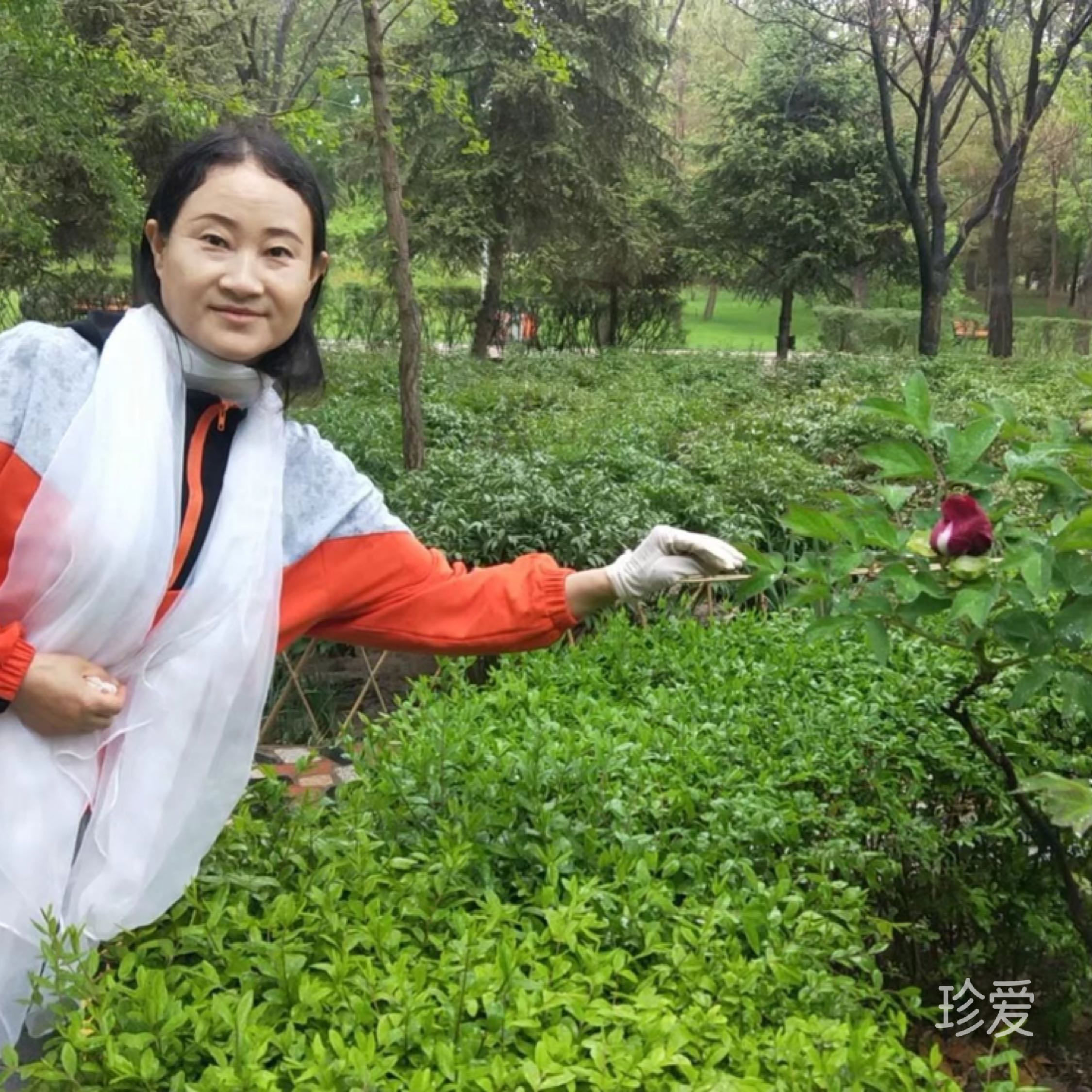 風(fēng)吹不動(dòng)天邊月