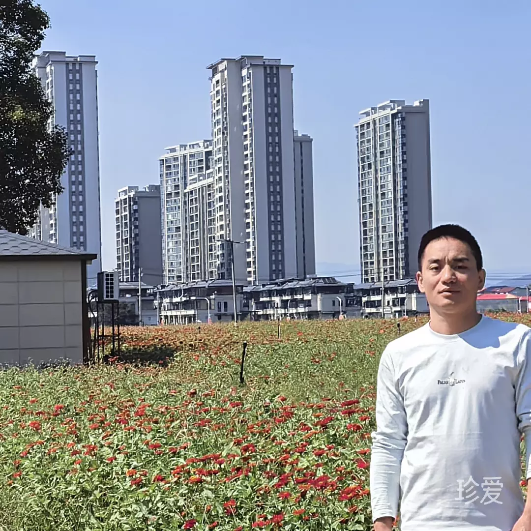 发呆的小强
