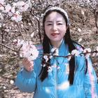 乘著風(fēng)去旅行