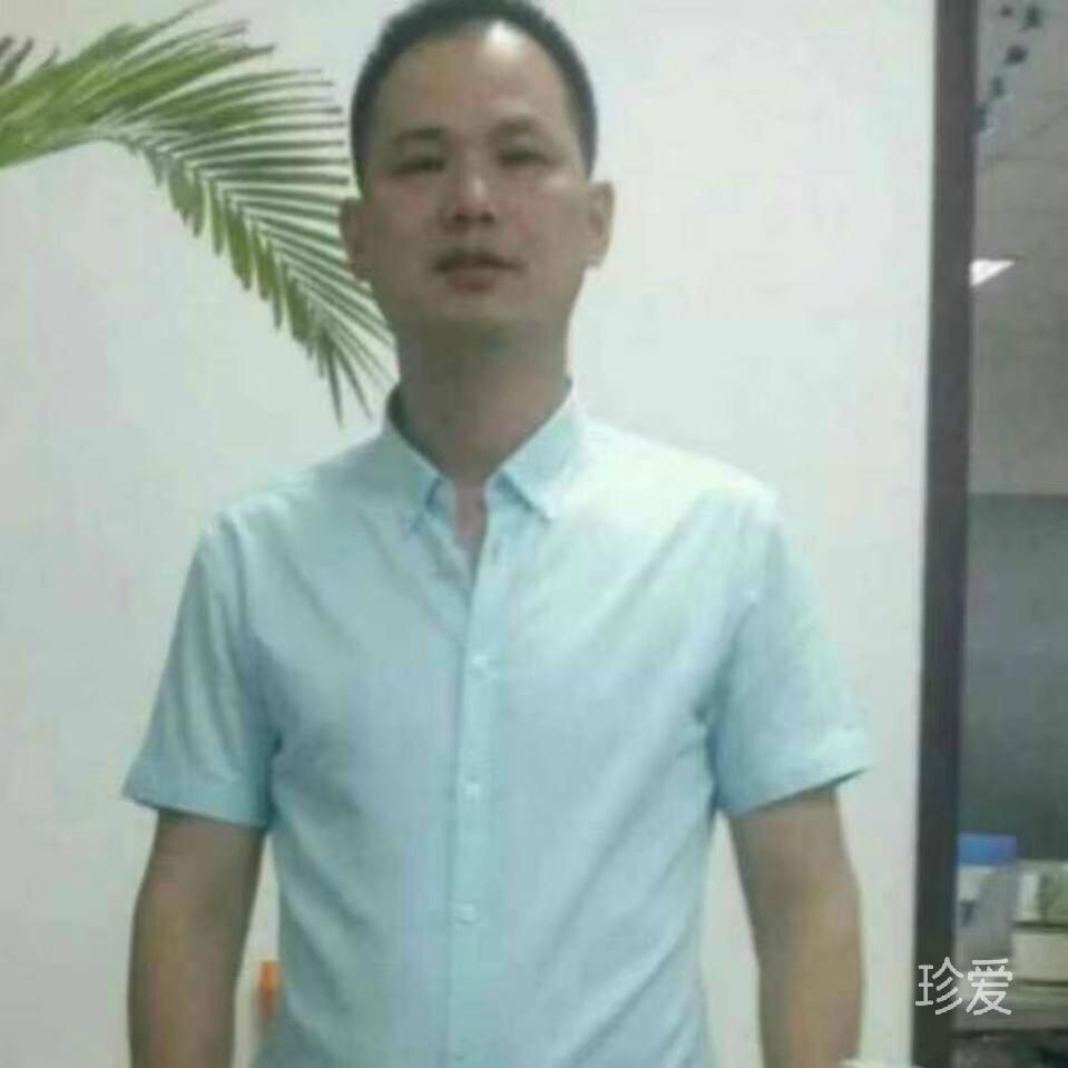 如风揽月