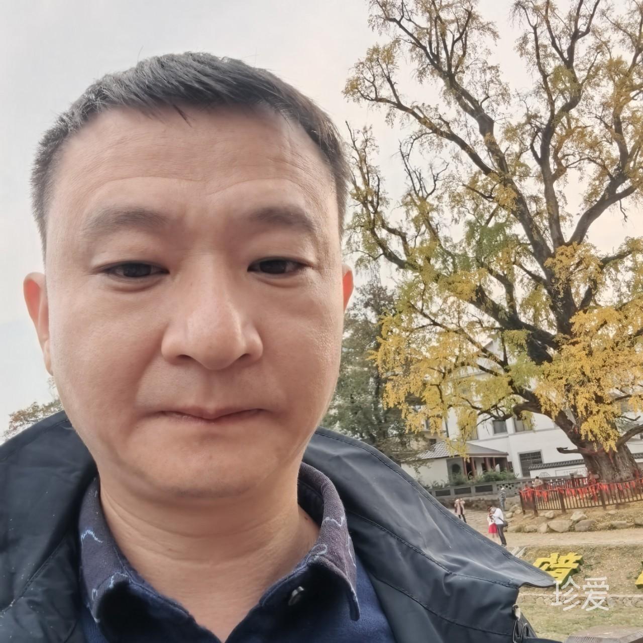 一片孤叶