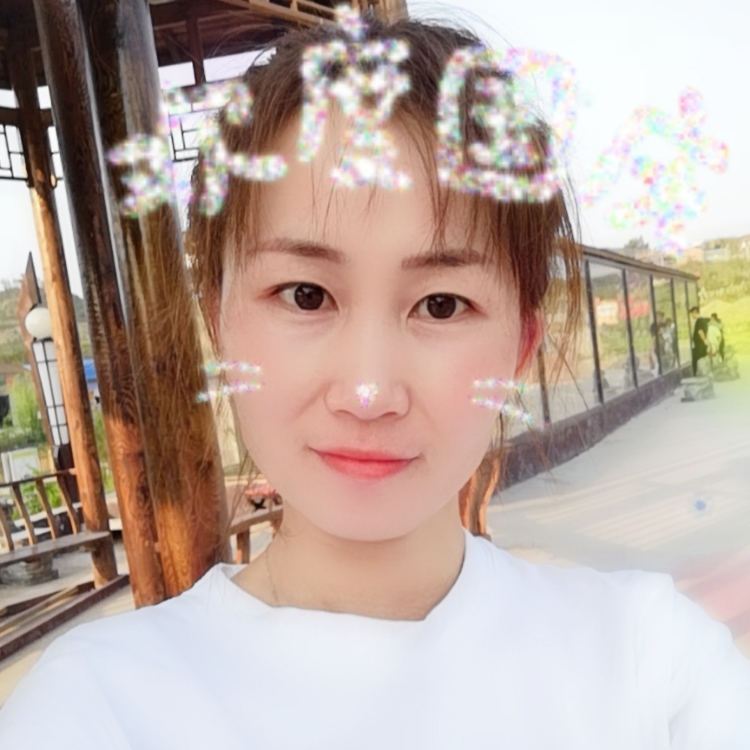 半城繁華半城傷