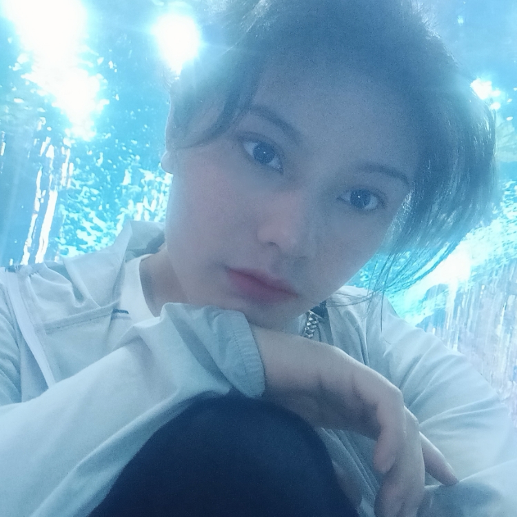 愛吃西瓜的貓貓