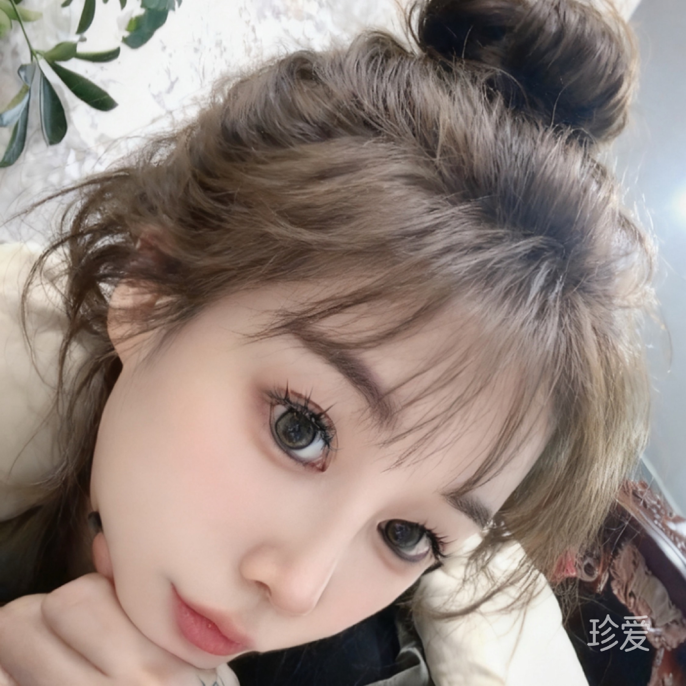 X小狮子