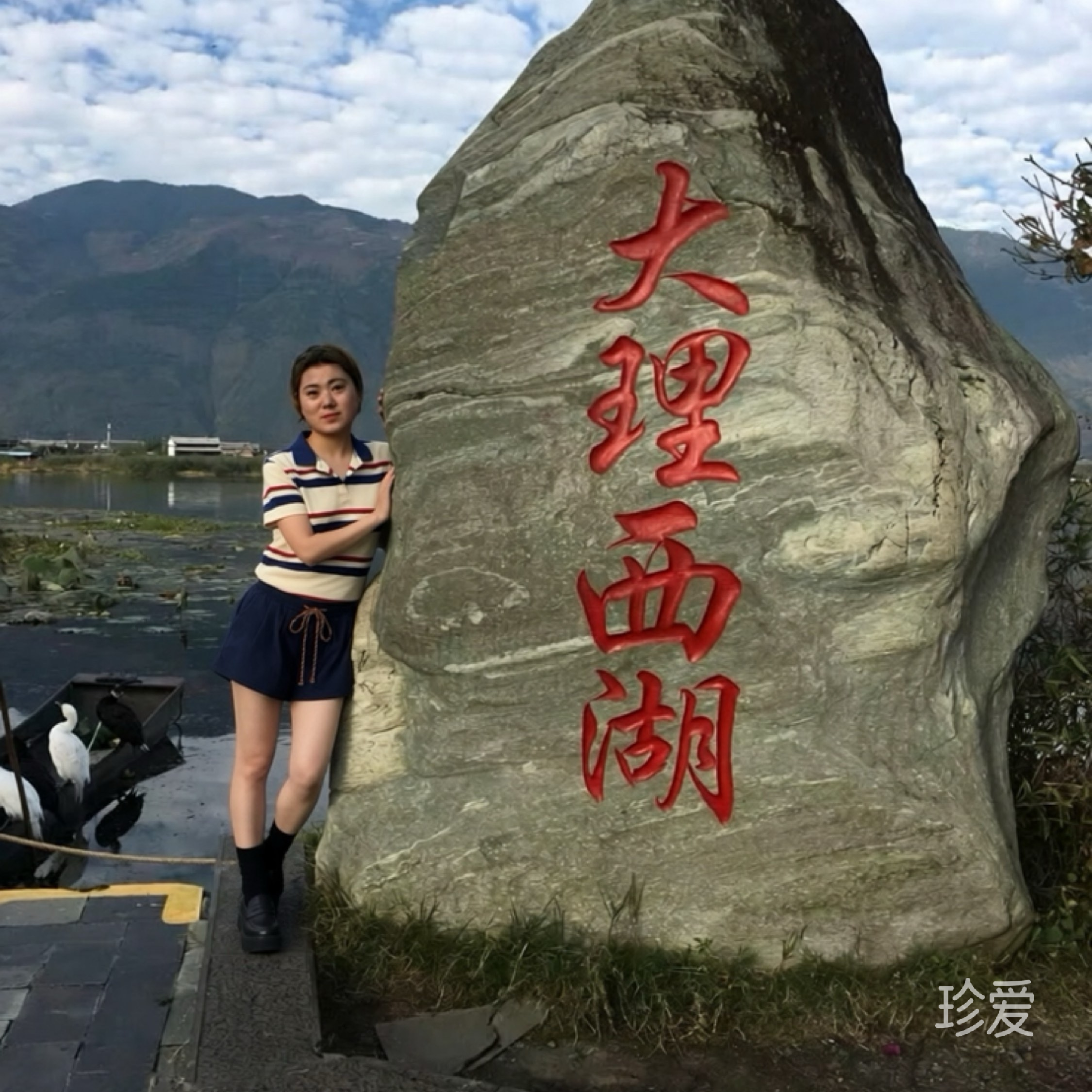 浅雾漫清欢