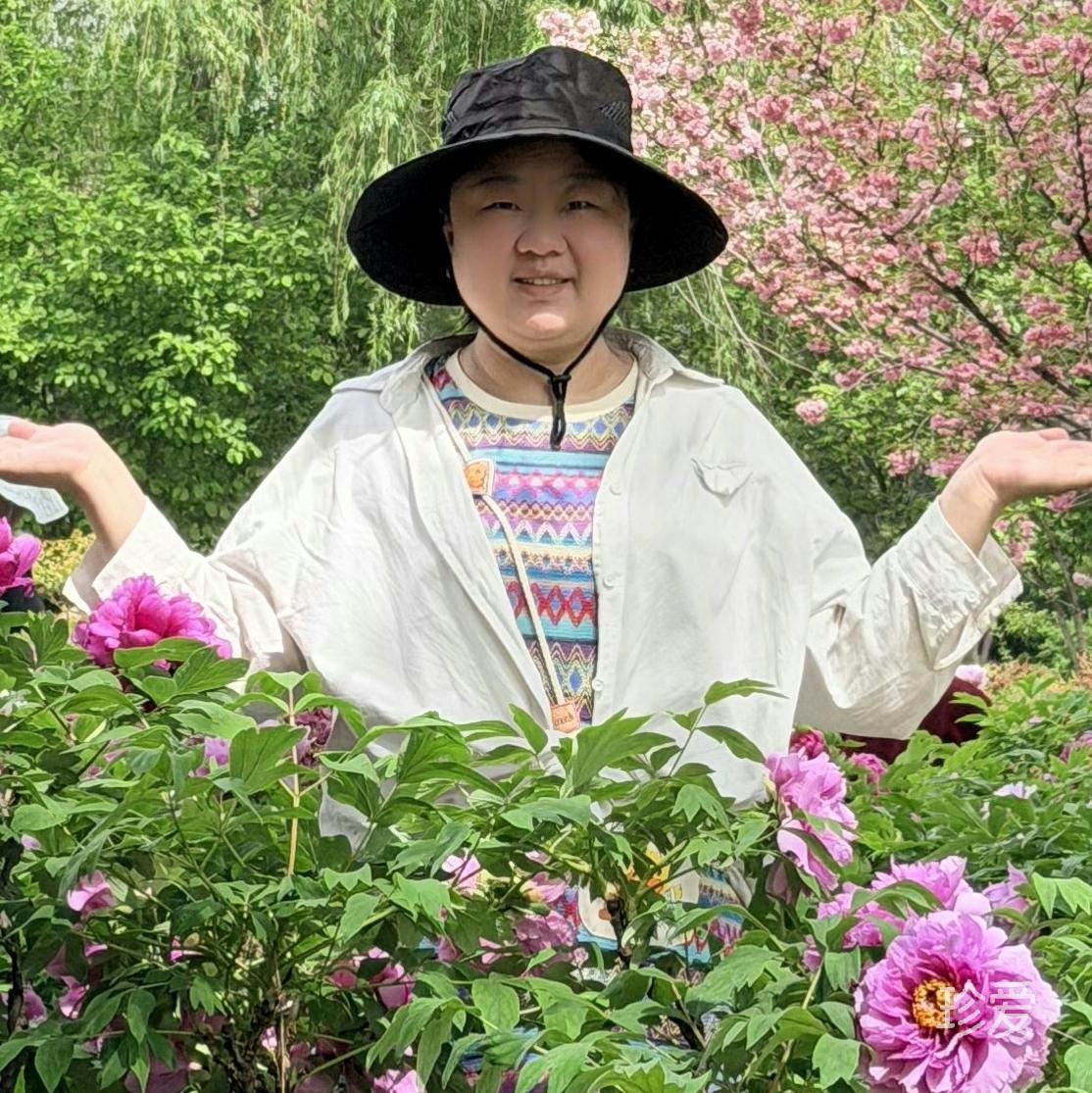 麦丹妹