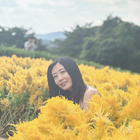 藍(lán)心