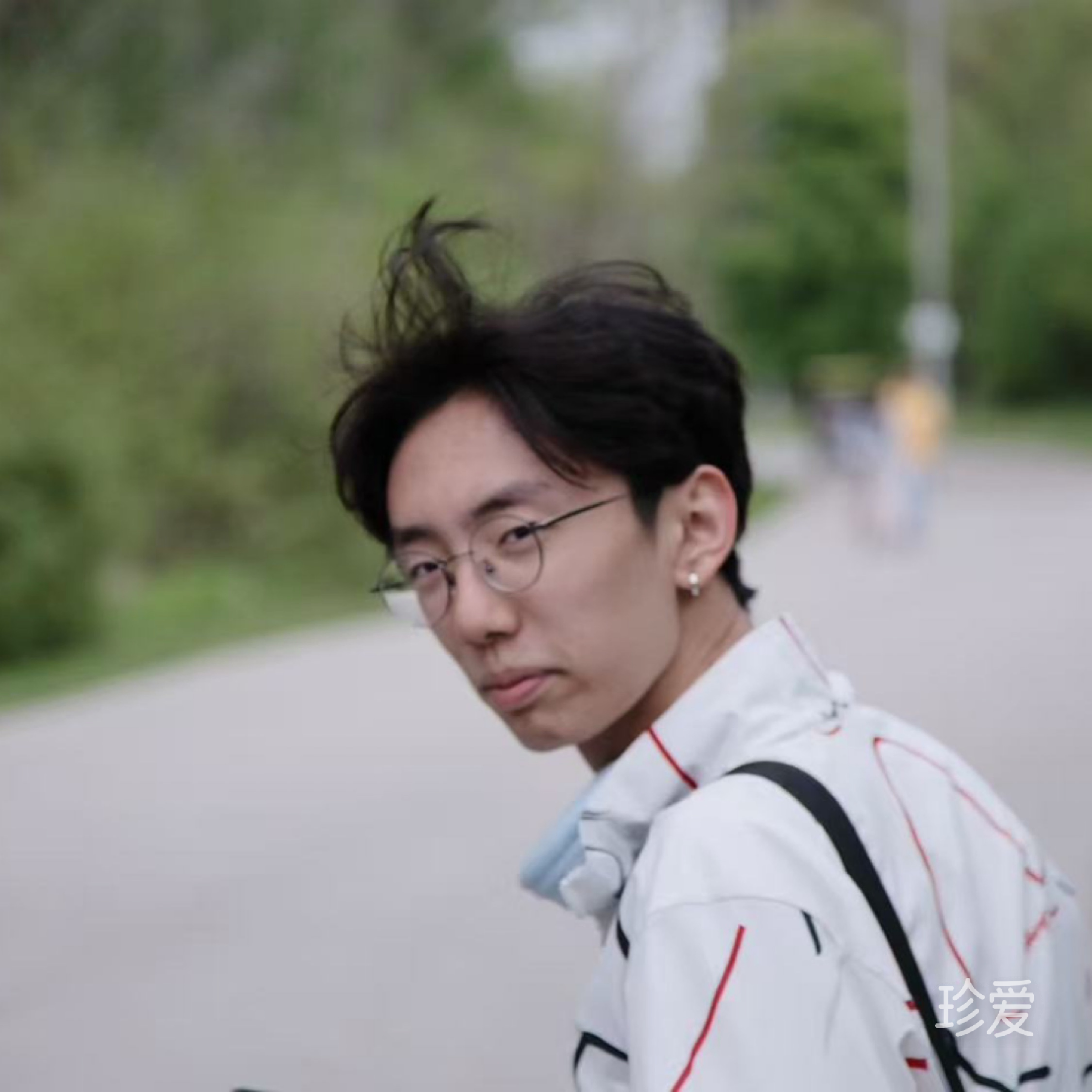 昨夜西风凋碧树