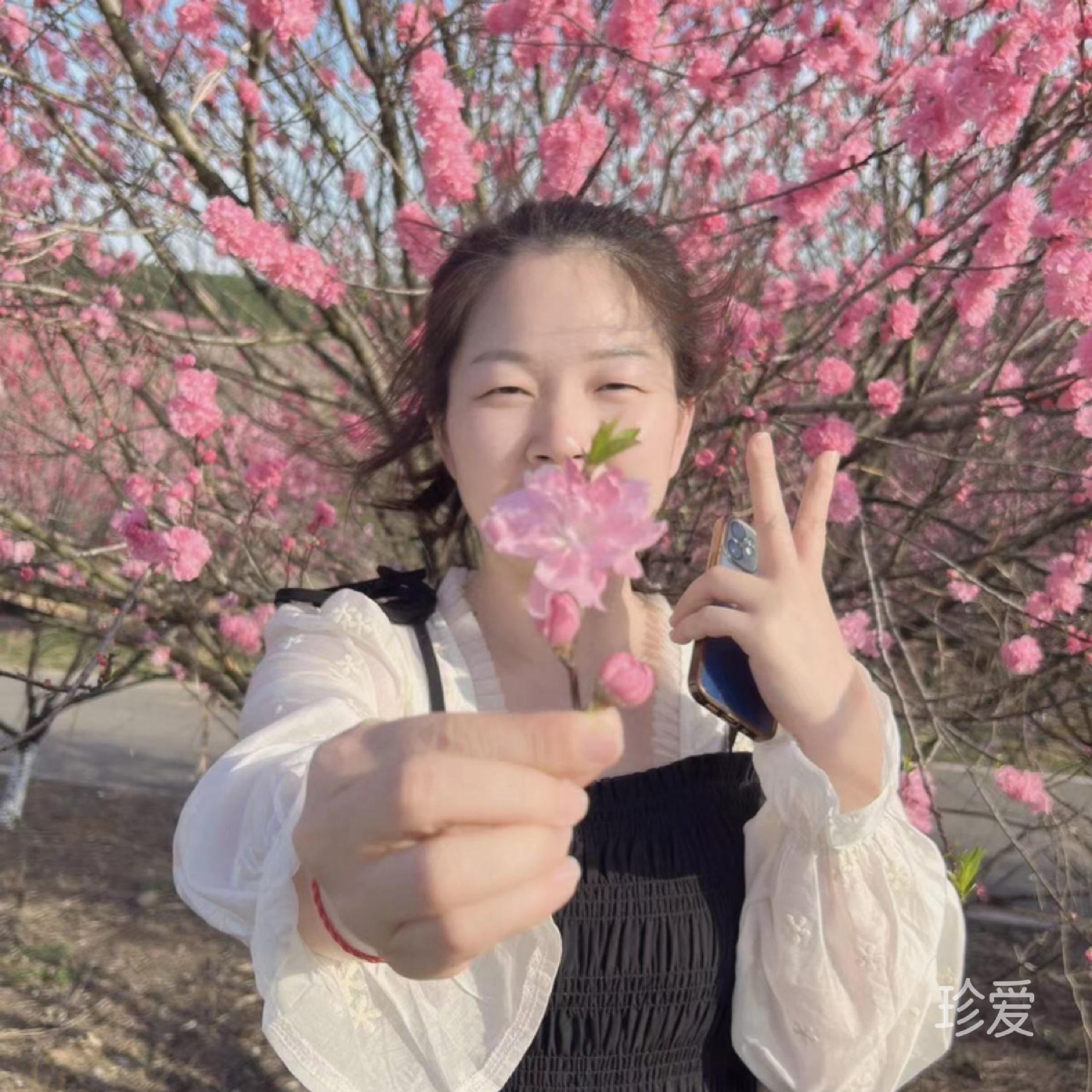 慧極必傷情深不壽