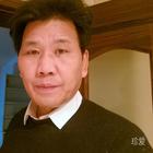沙漠里的野馬
