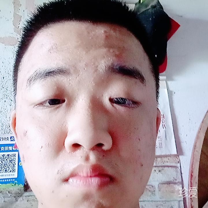 大漠黄沙胡杨