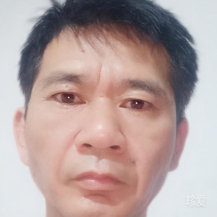 沉默的羔羊