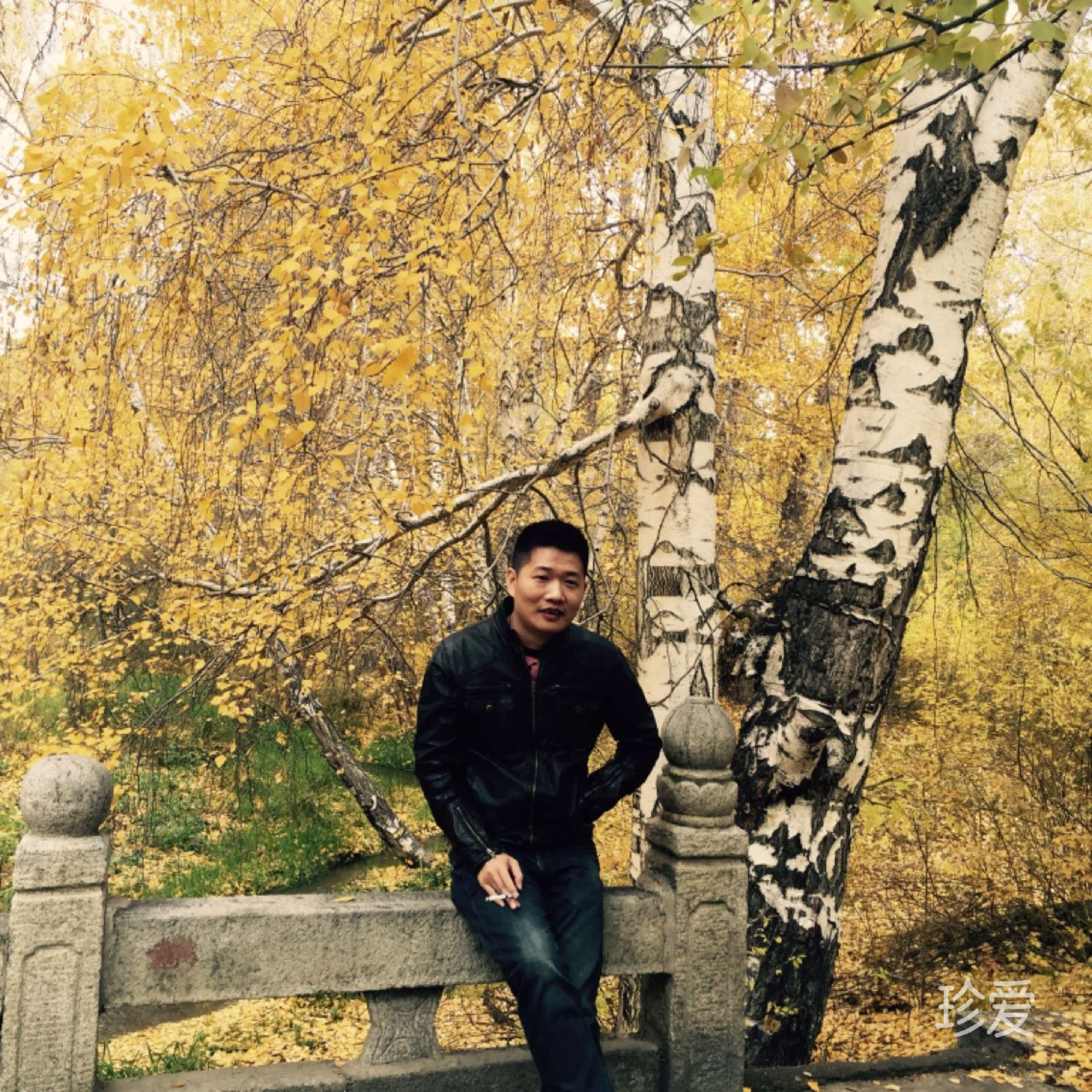 qc加油未来