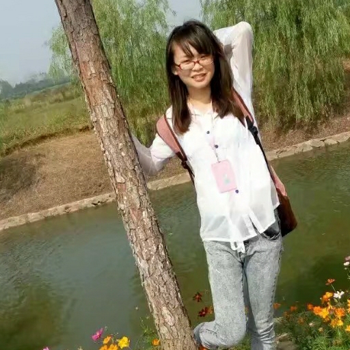 钢琴上跳舞的猫