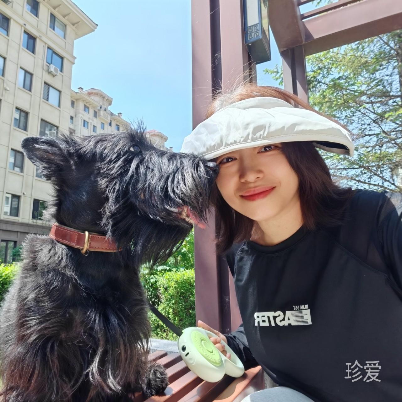清欢