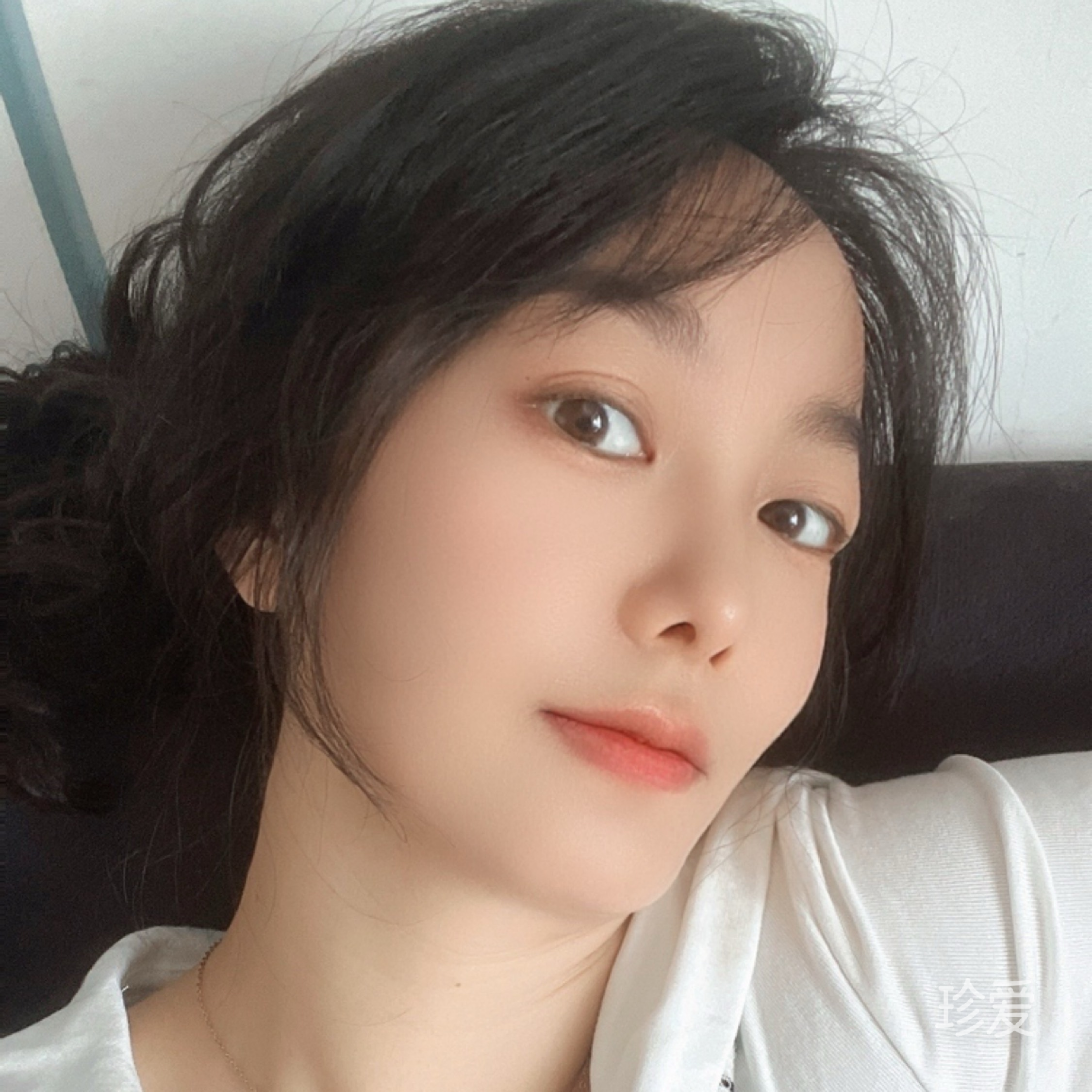 一尾美丽鱼