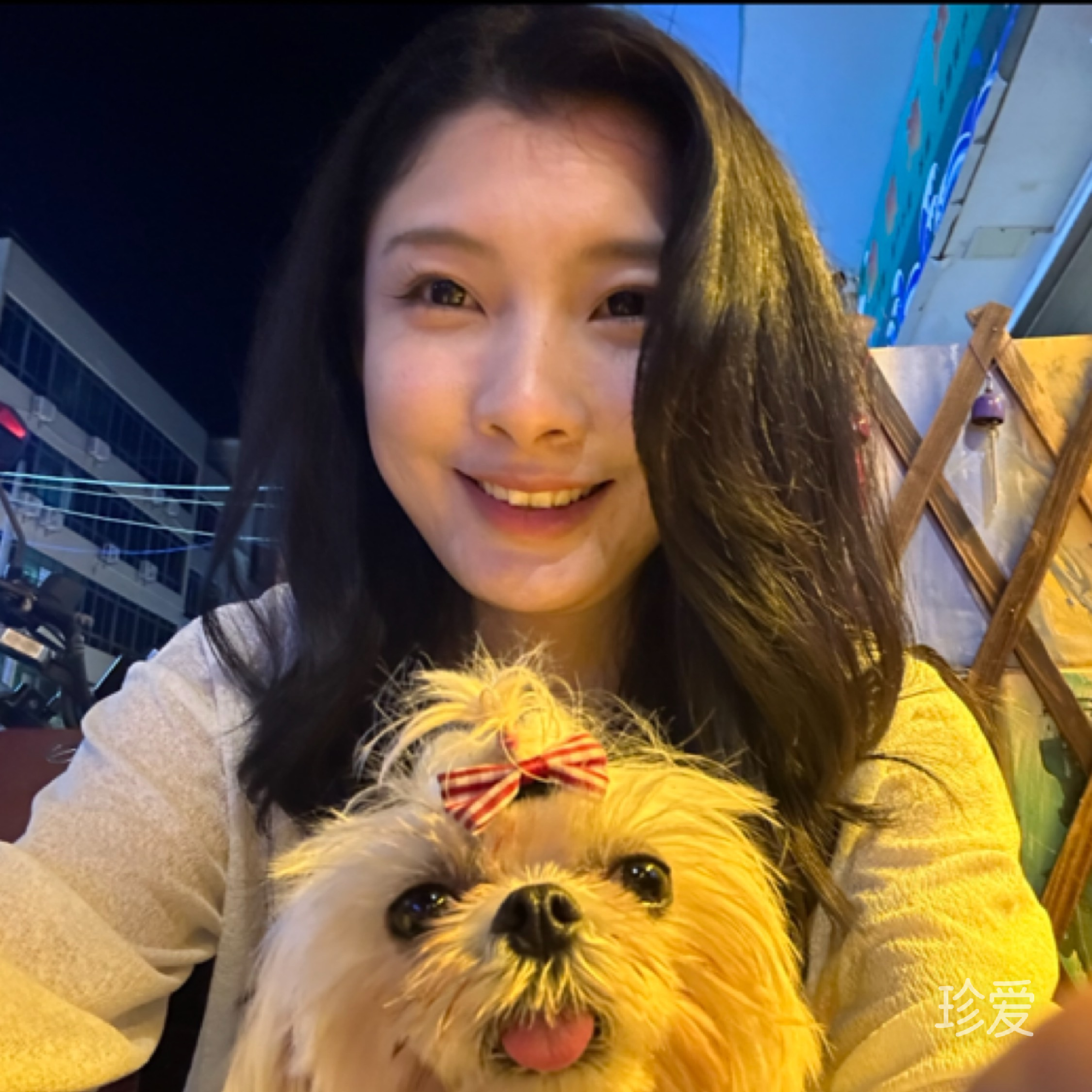 羊毛卷卷子