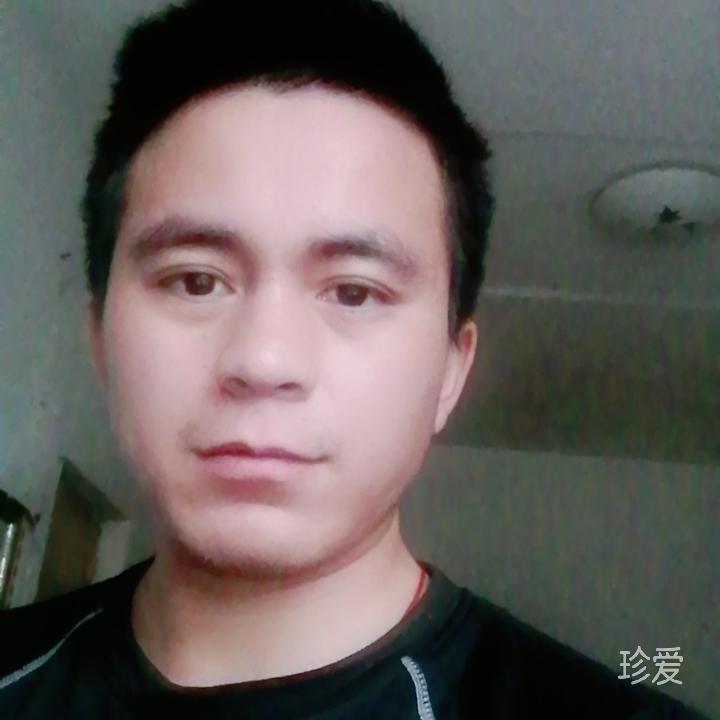 醉看紅尘這場夢