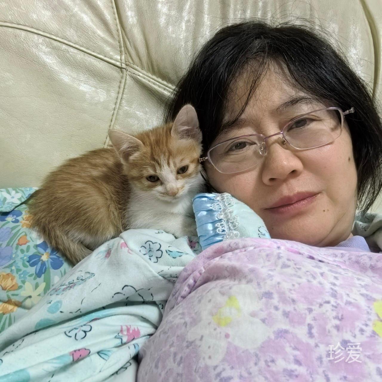 错爱一生