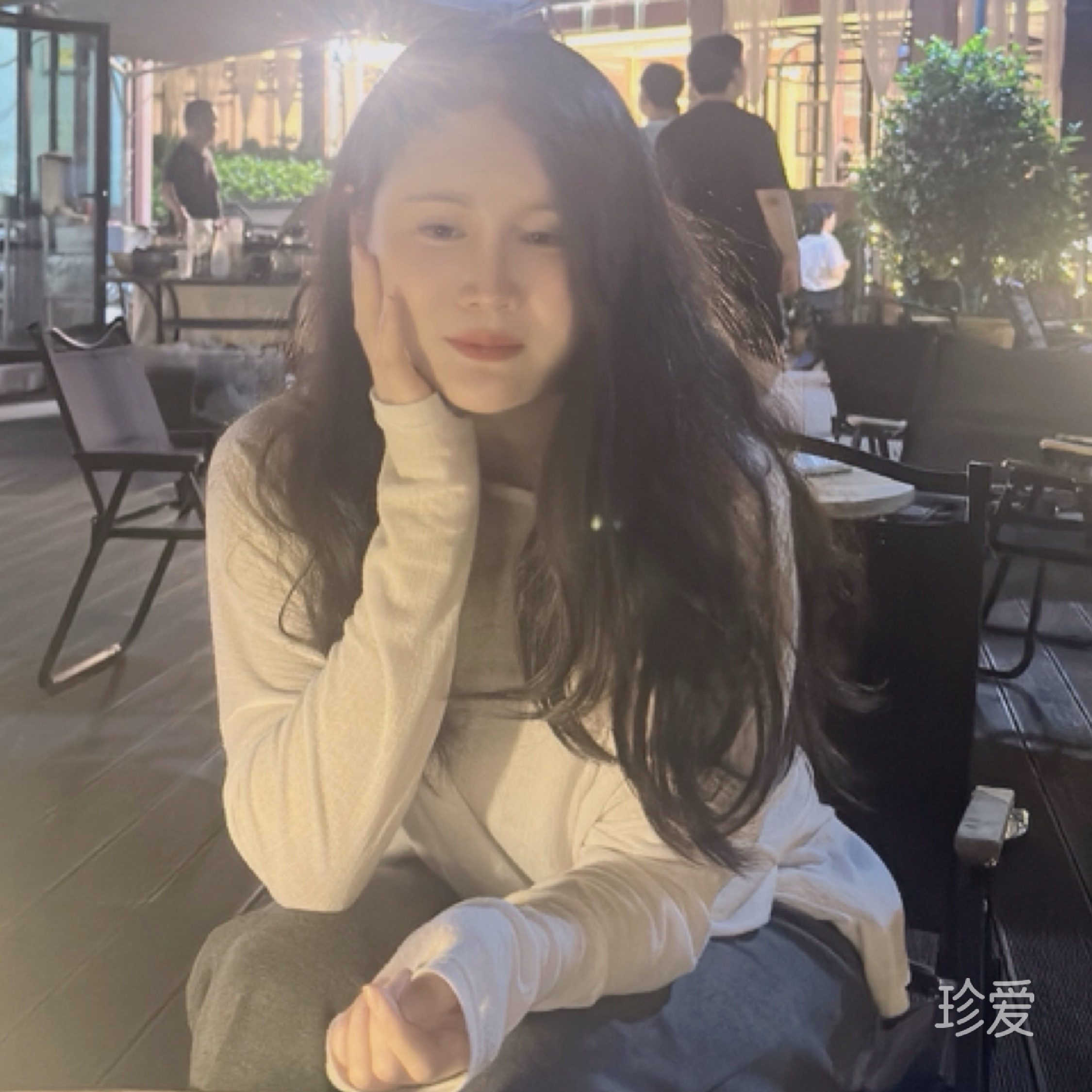 雪夜玫瑰