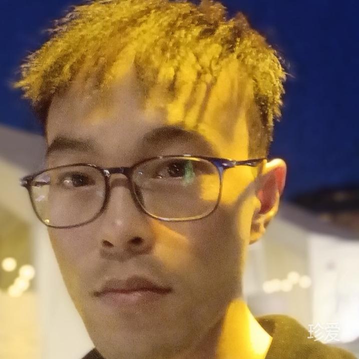 哈雷彗星
