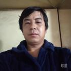 自由飛翔