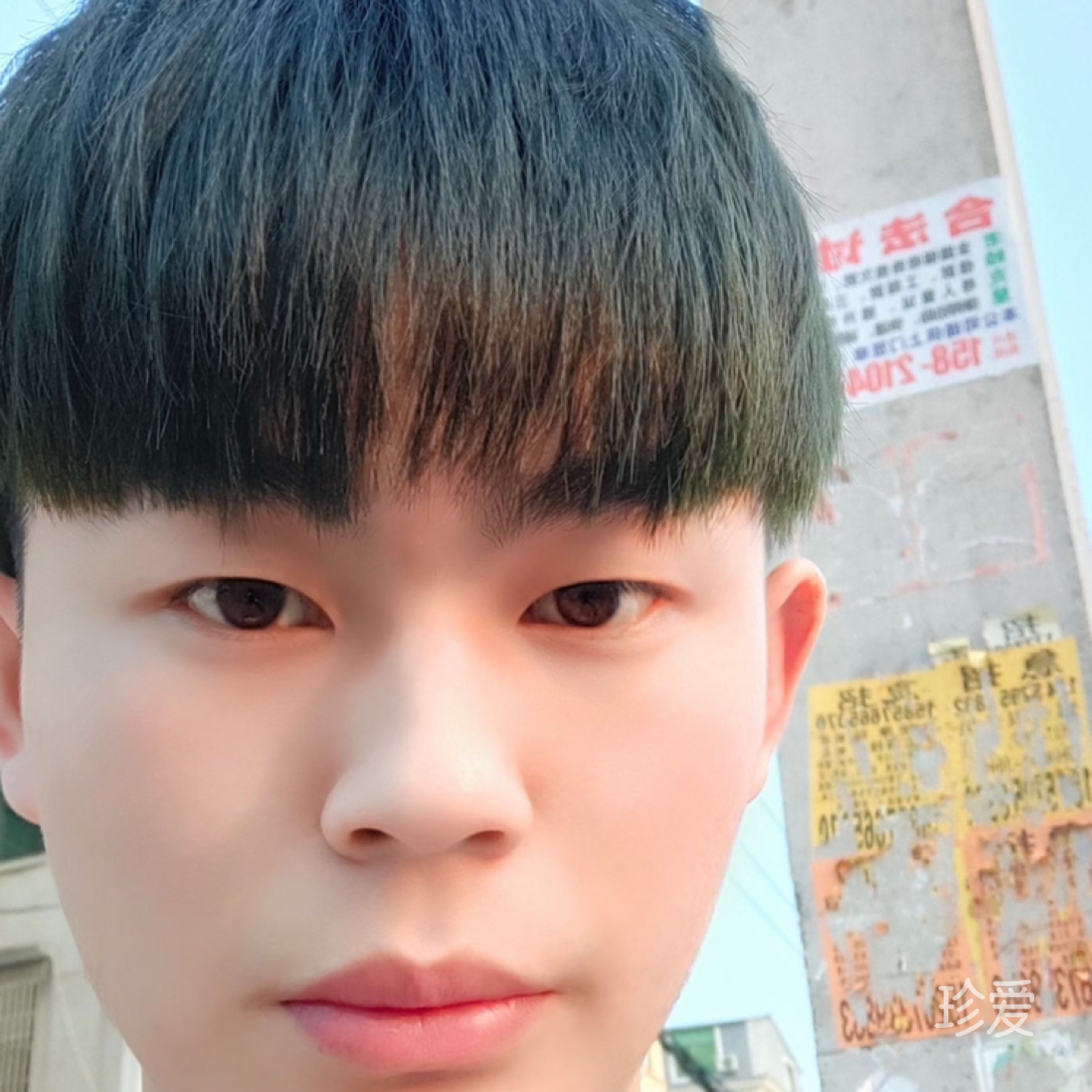秃鹫