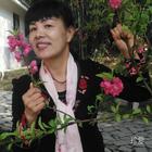 小小蓮蓬